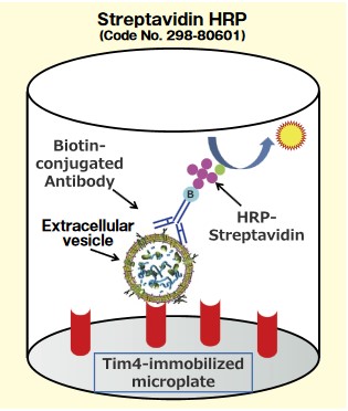 PS Capture™ 外泌体ELISA试剂盒（链霉亲和素HRP）