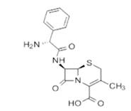 头孢烯素类抗生物质