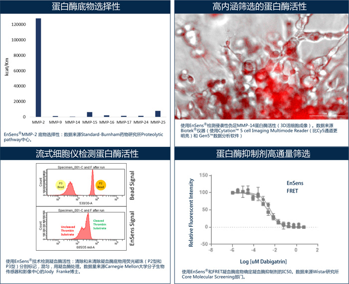 EnSens® 蛋白酶药物筛选