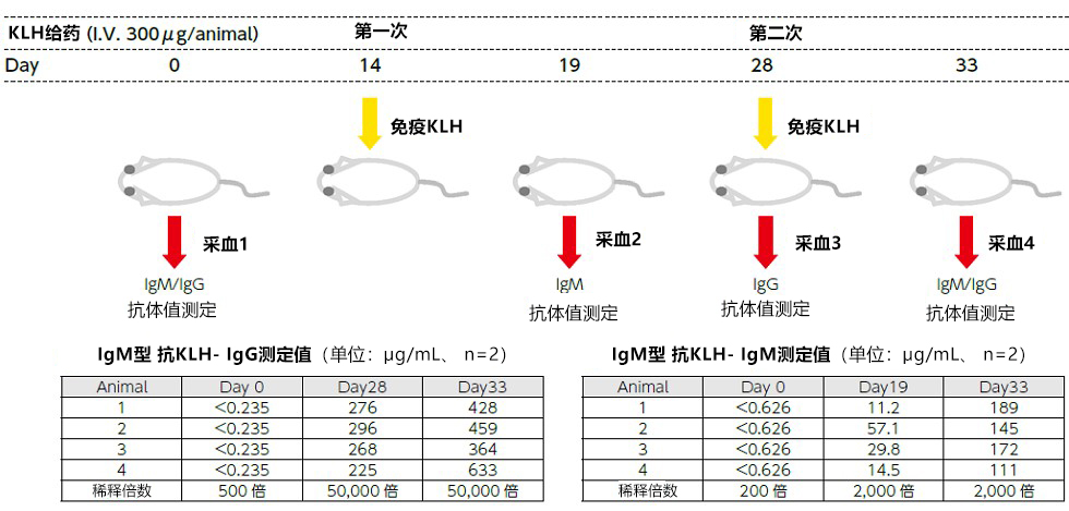 医药品毒性实验“动物实验替代法”