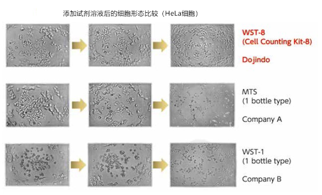 医药品毒性实验“动物实验替代法”