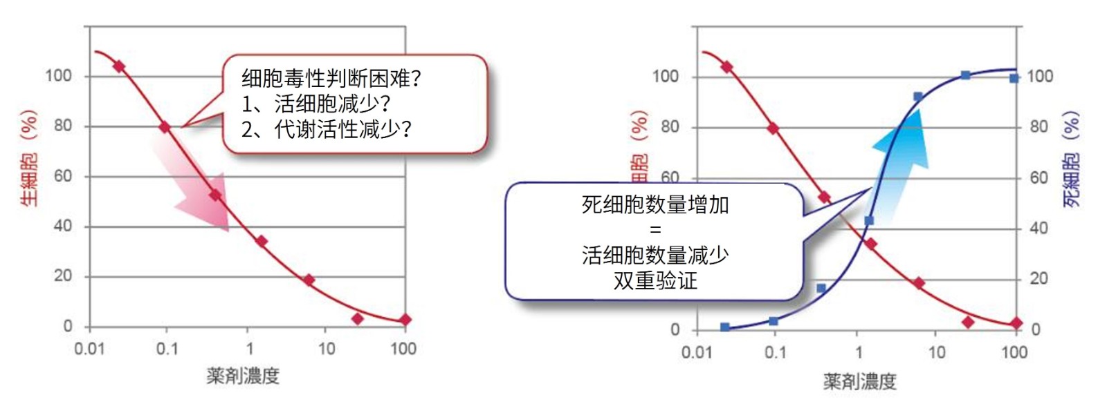 细胞活性/毒性双重检测试剂盒——Viability/Cytotoxicity Multiplex Assay Kit货号：CK17