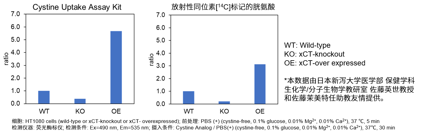 胱氨酸摄取能力检测试剂盒—Cystine Uptake Assay Kit货号：UP05