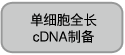 ThruPLEX&reg; DNA-Seq Kit