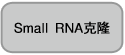 microRNA定量（qRT-PCR）