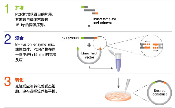 In-Fusion Snap Assembly Master Mix