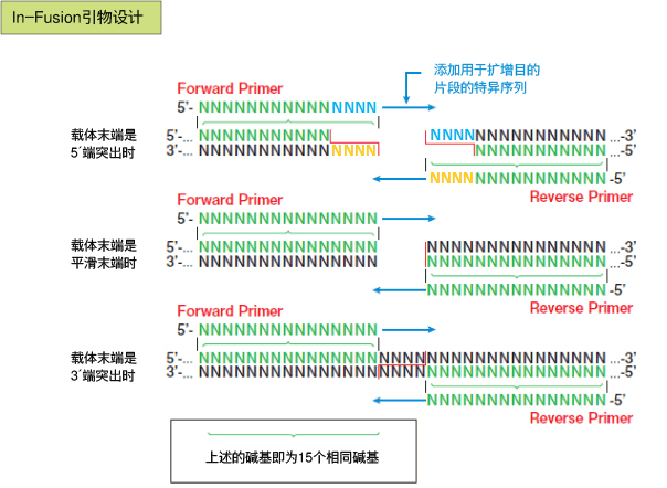 In-Fusion Snap Assembly Master Mix