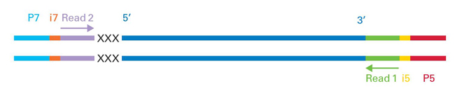 SMART-Seq Stranded Kit