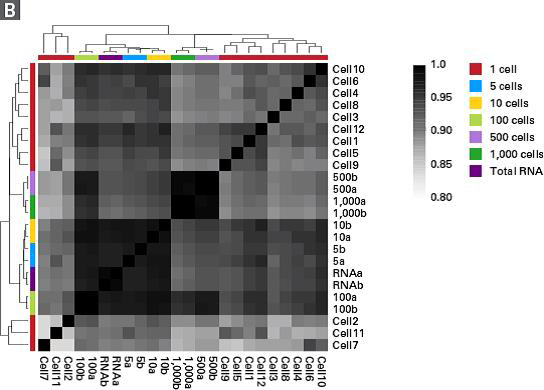 SMART-Seq Stranded Kit