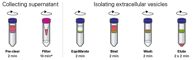 Capturem&trade; Extracellular Vesicle Isolation Kit