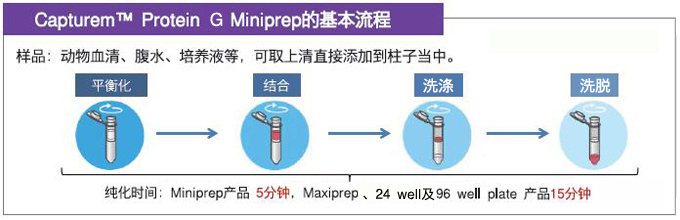 protein G原理的抗体快速纯化柱—Capturem&trade; 膜技术