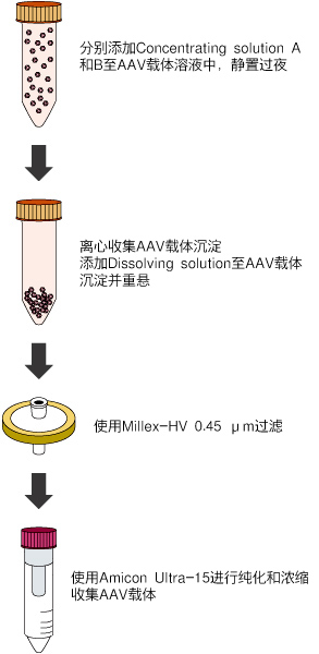 AAVpro&reg; Concentrator