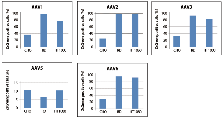 AAVpro&reg; Purification Kit (All Serotypes)