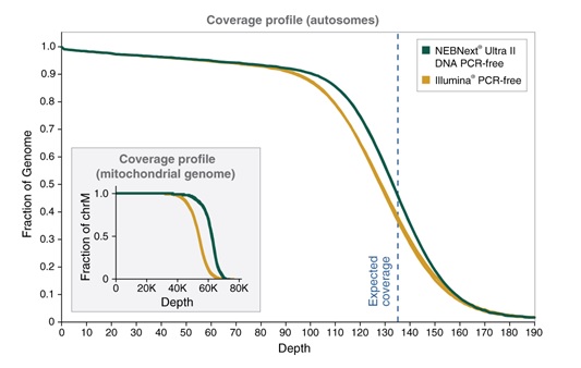 NEBNext® Ultra™ II DNA PCR-Free 文库制备试剂盒            货   号                  #E7410L