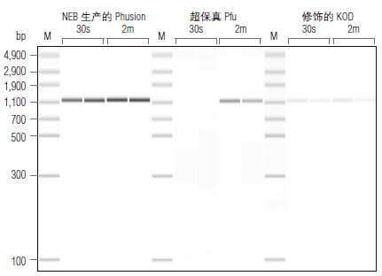 Phusion® 超保真 PCR 预混液（提供 HF 缓冲液）                 货   号                  M0531L