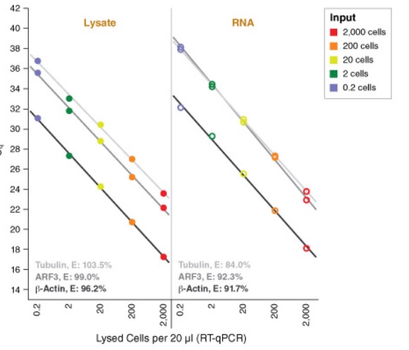 Luna® Cell Ready 探针一步法 RT-qPCR 试剂盒            货   号                  E3031S