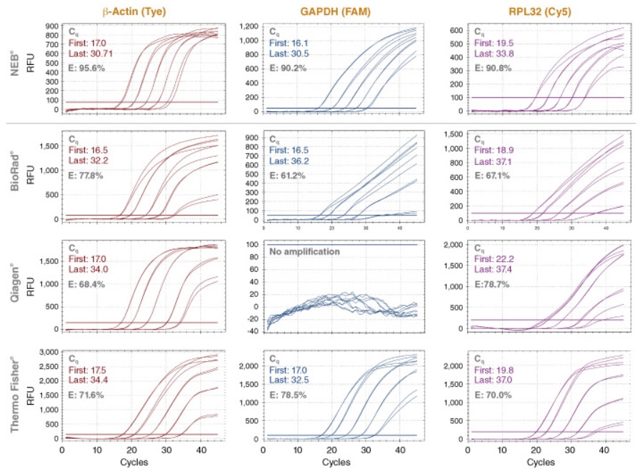 Luna® Cell Ready 探针一步法 RT-qPCR 试剂盒            货   号                  E3031S