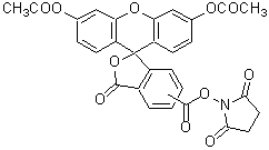 生細胞染色用色素 -Cellstain&reg;- CFSE | CAS 150347-59-4 同仁化学研究所