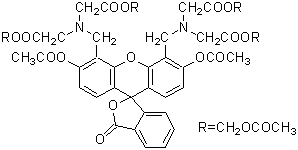 生細胞染色用色素 -Cellstain&reg;- Calcein-AM | CAS 148504-34-1 同仁化学研究所