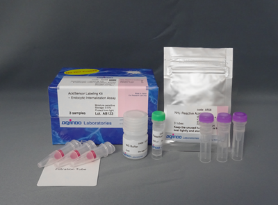 pHセンサーラベル化キット AcidSensor Labeling Kit Endocytic Internalization Assay 同仁化学研究所