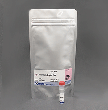 pHセンサーラベル化キット AcidSensor Labeling Kit Endocytic Internalization Assay 同仁化学研究所